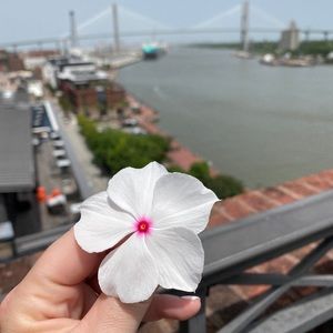 Meet your Posher, Katy